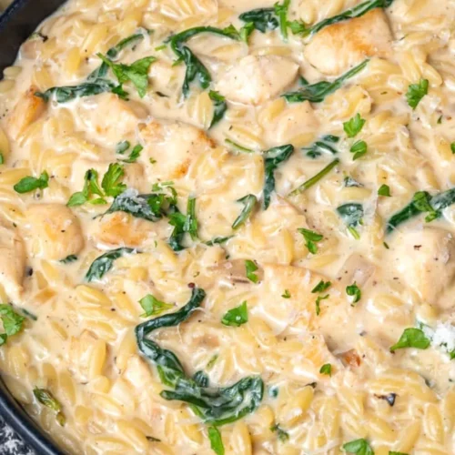 LEMON CHICKEN ORZO PASTA