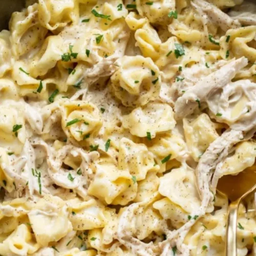 Chicken tortellini alfredo